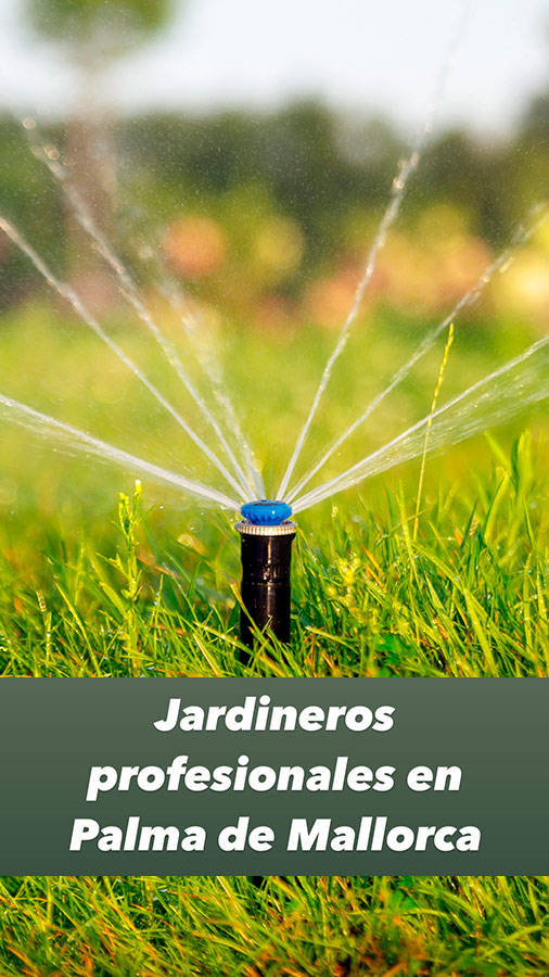 INSTALACION DE RIEGOS AUTOMATICOS palma mallorca