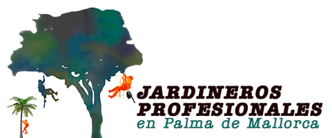 Podas Palma de Mallorca