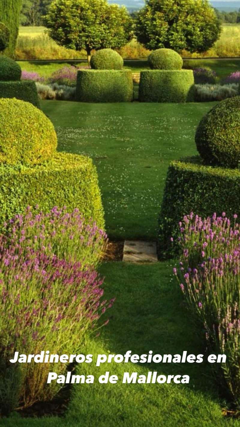 Mantenimiento de Jardines Mallorca, jardineros profesionales palma mallorca